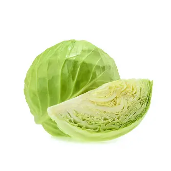 cabbage (14)-8976969-12560.webp